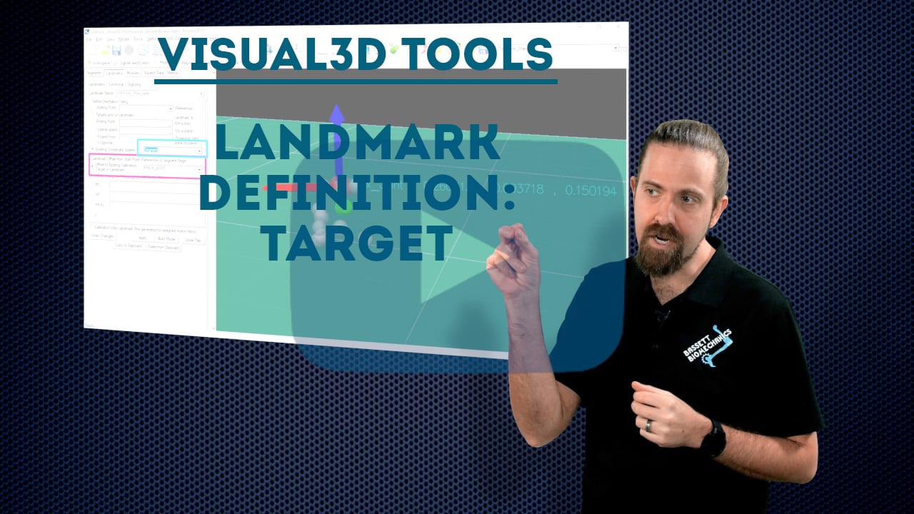 Landmark definition: target