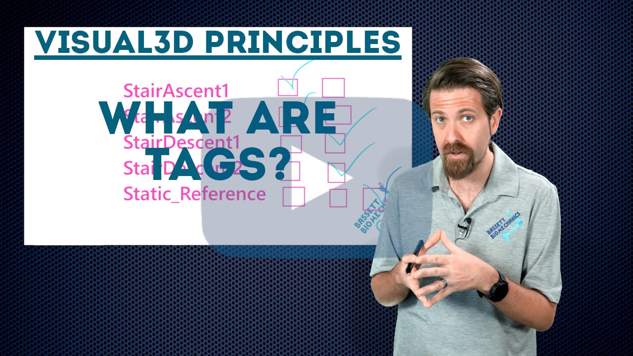 What are tags?