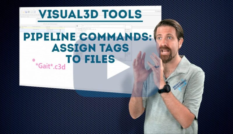 Pipeline commands: assign tags to files