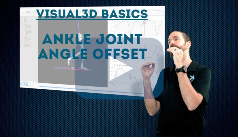 Ankle joint angle offset