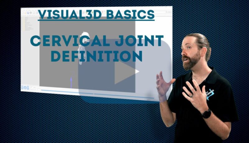 Cervical joint definition