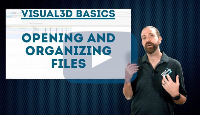 Opening and organizing files