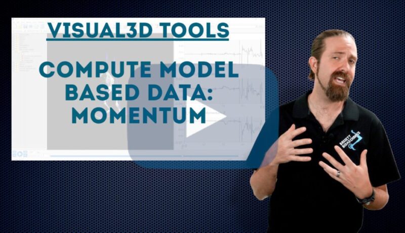 Compute Model Based Data: Momentum