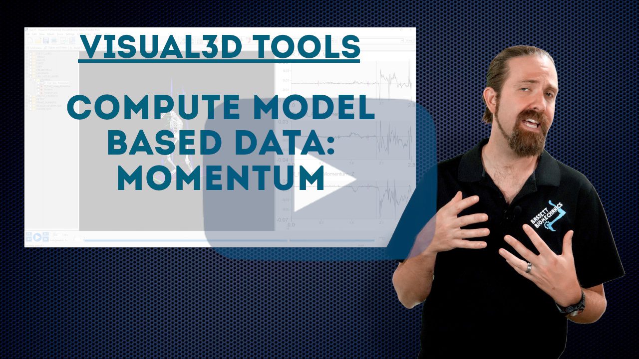 Compute Model Based Data: Momentum