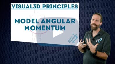 Model Angular Momentum