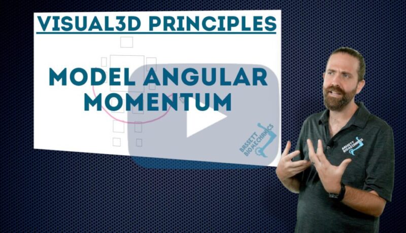 Model Angular Momentum